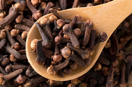 Clove Bud EO